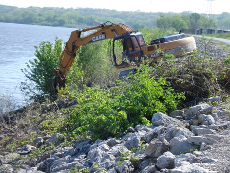 Backhoe Working in Rough Brush